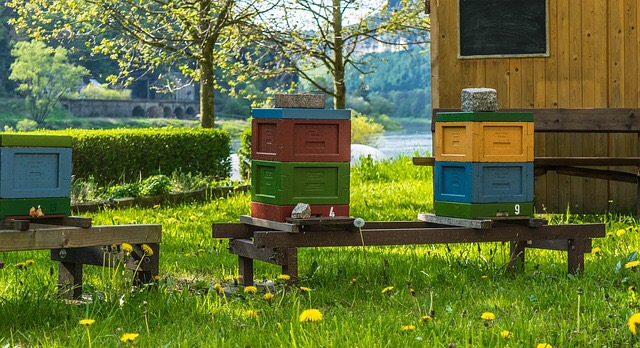 Bienenstöcke des Imkerverein Dombühl